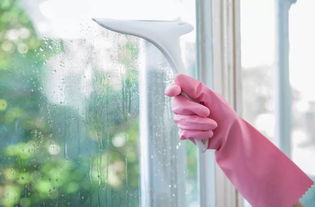 廷管家 專(zhuān)業(yè)家政與婚姻介紹，您的明智選擇